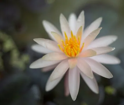 官方APP下载二维码